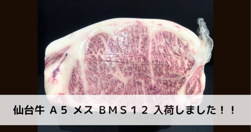 仙台牛A５ メス BMS12